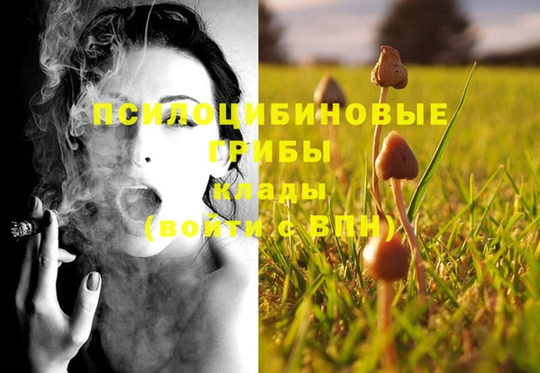 герыч Алзамай