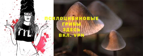 герыч Алзамай