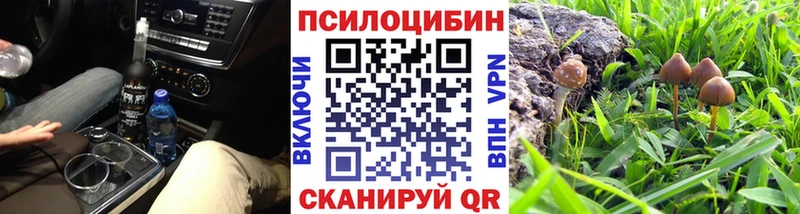 Псилоцибиновые грибы ЛСД  Суджа 