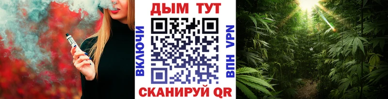 Каннабис VHQ  hydra сайт  Суджа 